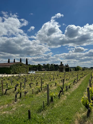 Château Smith Haut Lafitte